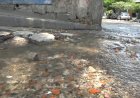 Residentes de la Santa Lucia Apopa Solicitan Intervención Urgente por fuga de agua