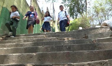 Autoridades de Centro Educativo María Vilaseca en Popotlan solicitan ayuda para talar los arboles