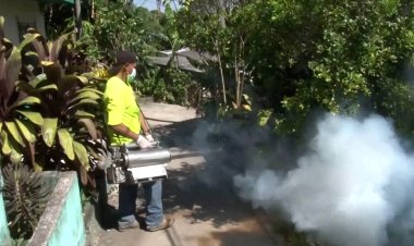 Tres Casos confirmados de Dengue en Apopa.