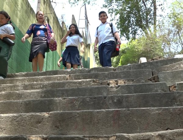 Autoridades de Centro Educativo María Vilaseca en Popotlan solicitan ayuda para talar los arboles