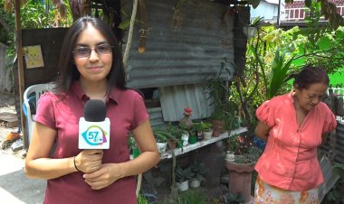 Cincuenta especies de plantas ha cultivado esta emprendedora