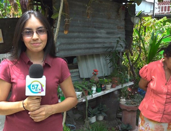 Cincuenta especies de plantas ha cultivado esta emprendedora