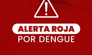 Alerta Roja Por el Dengue a nivel Latinoamericano