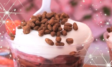 FRESICREAM Emprendimiento Apopense