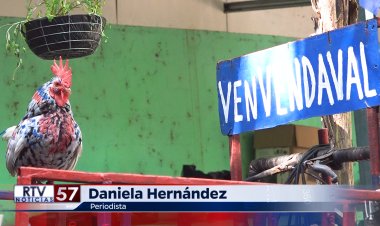 El Club Social y Deportivo Vendaval elige nueva directiva