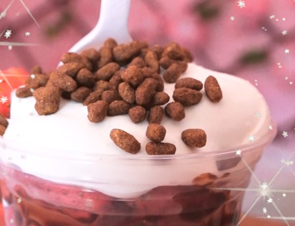 FRESICREAM Emprendimiento Apopense