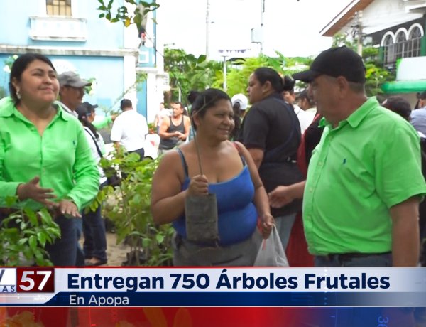 Entrega de 750 Árboles Frutales para la Reforestación en Apopa