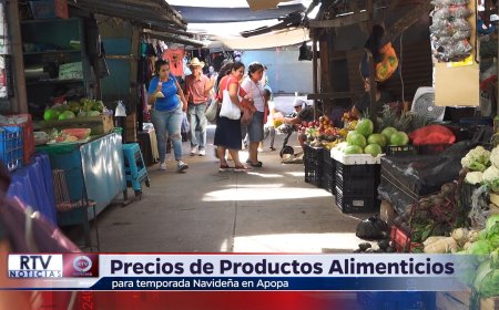 Precios de Productos Alimenticios en la Temporada Navideña, en Apopa