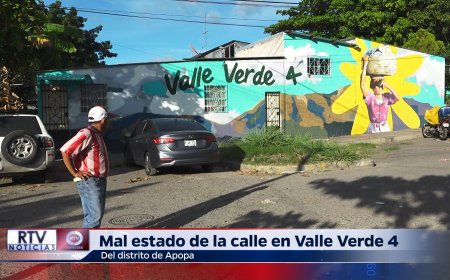 CALLE EN MAL ESTADO EN VALLE VERDE 4