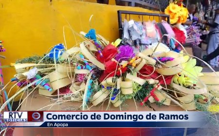 Comercio del Domingo de Ramos en Apopa