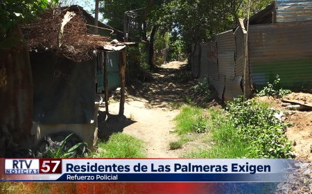 Residentes de las Palmeras Exigen Refuerzo Policial