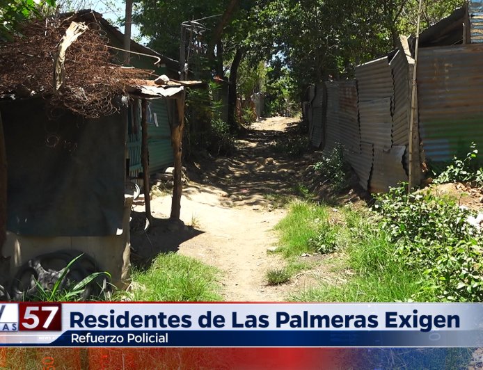 Residentes de las Palmeras Exigen Refuerzo Policial