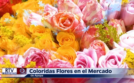 Coloridas Flores Decoran el mercado de Apopa