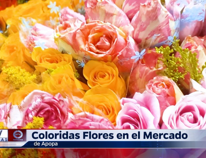 Coloridas Flores Decoran el mercado de Apopa