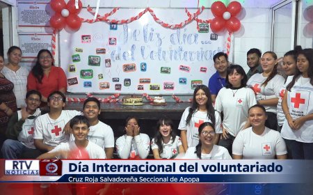 Dia Internacional del Voluntario