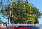 Vientos incrementan Incendios en Apopa